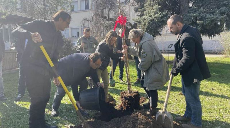 „Професорите садат“: збогатување на дендропаркот на Факултетот за шумарски науки, пејзажна архитектура и екоинженеринг „Ханс Ем“ во Скопје со нови видови дрвја и грмушки